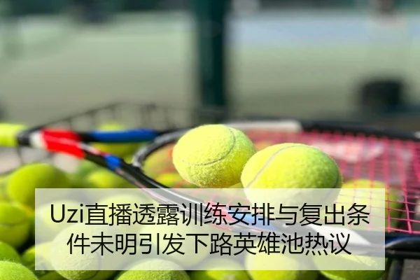 Uzi直播透露训练安排与复出条件未明引发下路英雄池热议