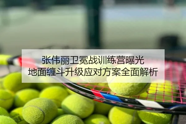 张伟丽卫冕战训练营曝光 地面缠斗升级应对方案全面解析